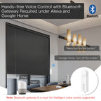 Smart Cord & Beaded Chain Blind Motor