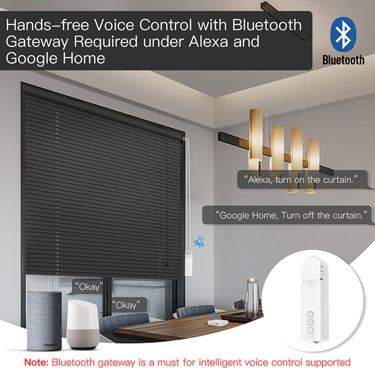 Smart Cord & Beaded Chain Blind Motor